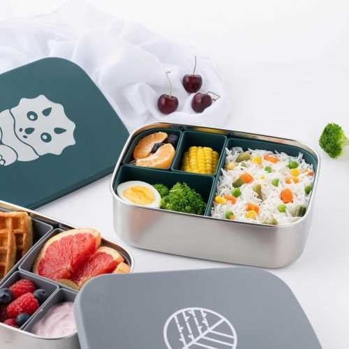 Fiambrera de Acero Inoxidable Classic Bento Box Dino teal – Eco Rascals