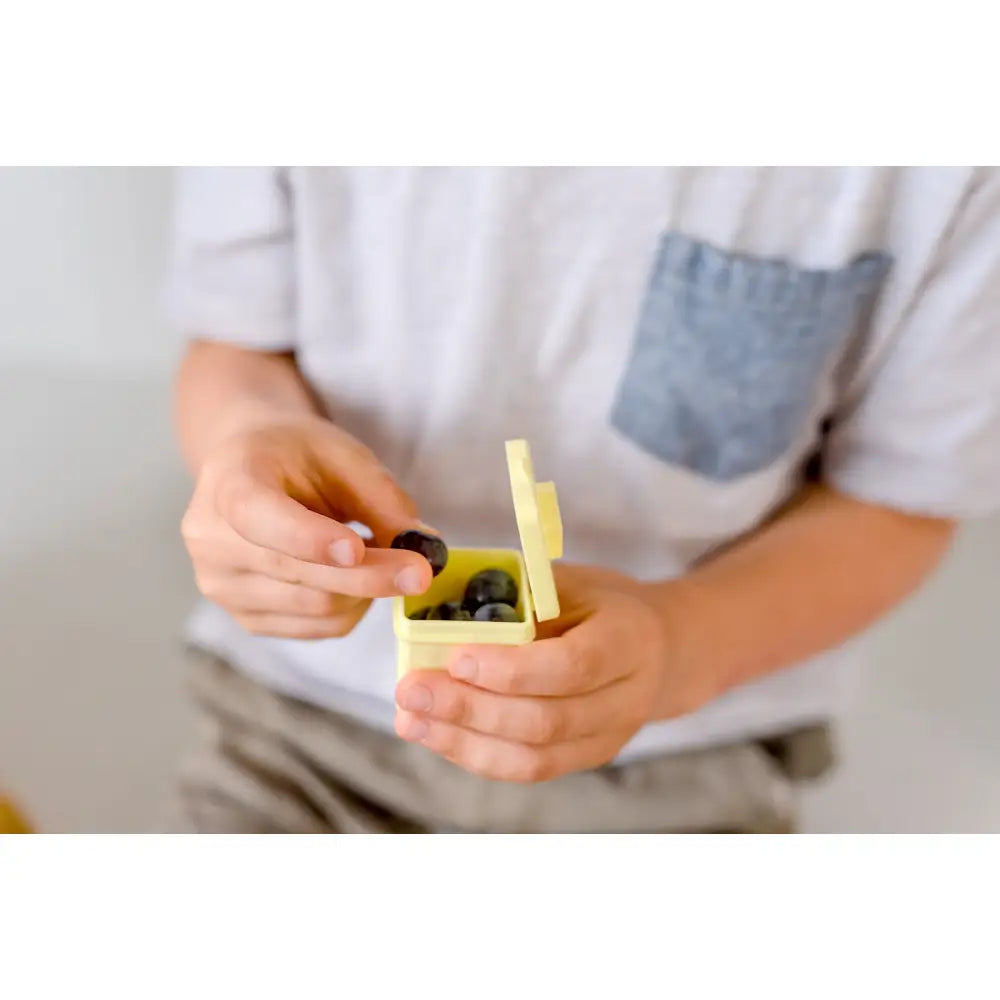 Cajas Bento Sorpresa Set de 2 Little Lunch Box Co - Frutas