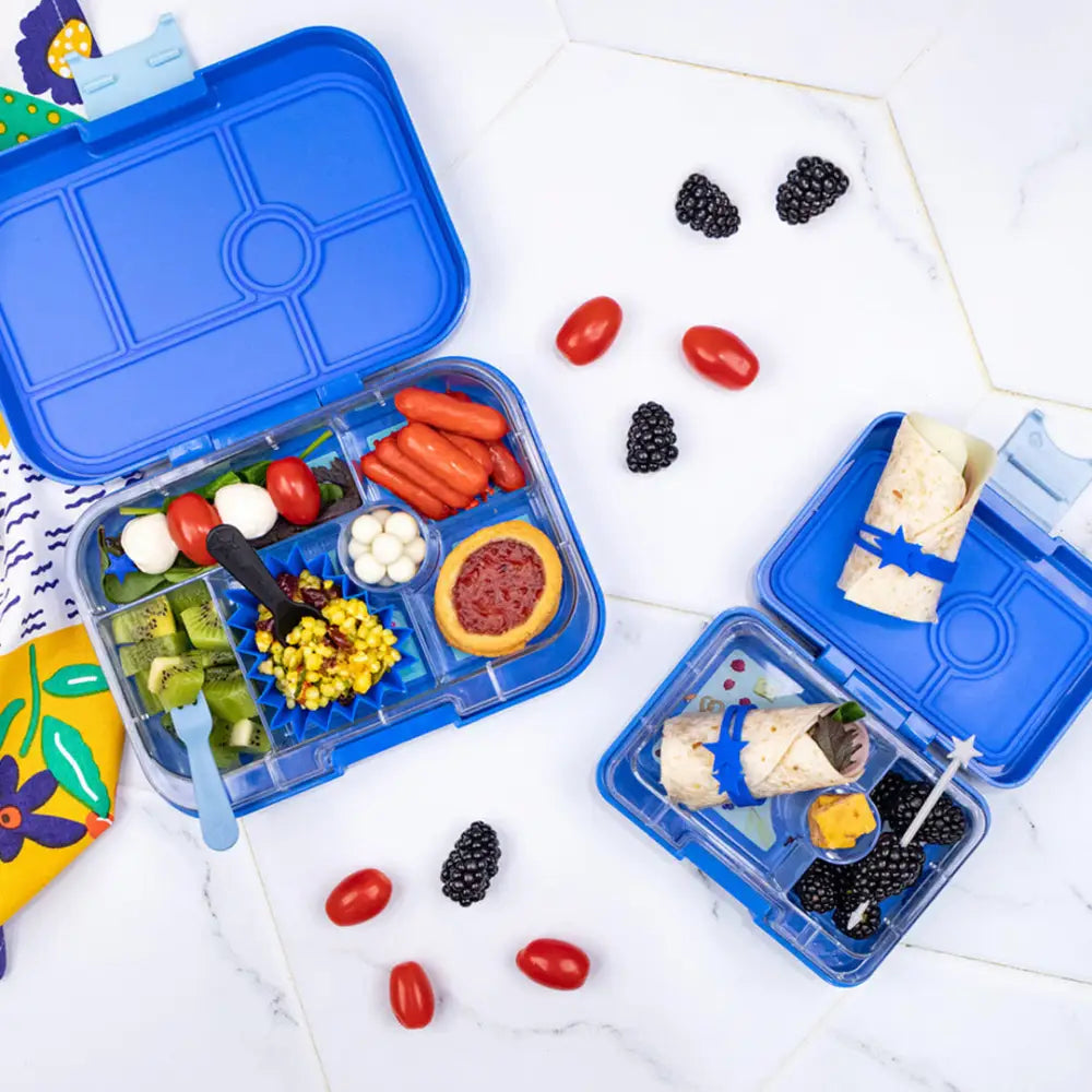 Bandas elásticas Lunch Punch - Azul - Azul - Accessories for